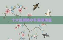 十大品牌防水补漏液质量