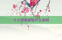十大最甬敢动什么动物