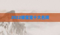 2022暖宝宝十大名牌
