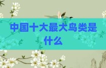 中国十大最大鸟类是什么