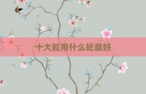 十大船用什么轮最好