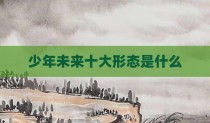 少年未来十大形态是什么