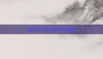 绍兴十大私立初中有哪些
