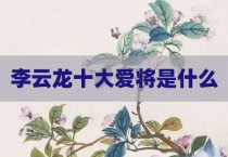 李云龙十大爱将是什么