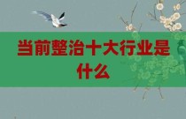 当前整治十大行业是什么