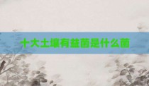 十大土壤有益菌是什么菌
