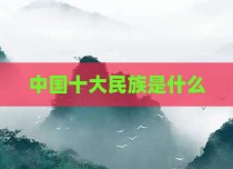 中国十大民族是什么