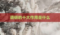调研的十大作用是什么