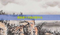 探险者十大缺点是什么