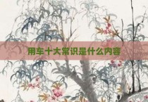 用车十大常识是什么内容