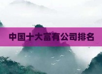 中国十大富有公司排名