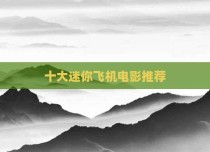 十大迷你飞机电影推荐