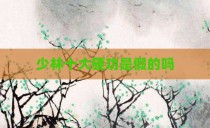 少林十大硬功是假的吗