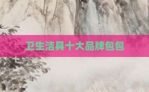 卫生洁具十大品牌包包
