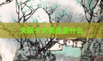 天蝎十大黑点是什么