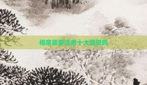 相亲需要注意十大禁忌吗