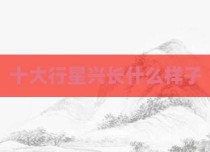 十大行星兴长什么样子