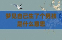 梦见自己生了个男孩是什么意思