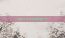 全球十大公司使命是什么