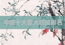 中国十大重大领域排名