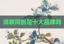 清联同创是十大品牌吗