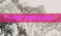 十大瓷厂名字叫什么来着