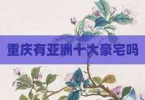 重庆有亚洲十大豪宅吗