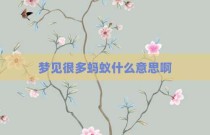 梦见很多蚂蚁什么意思啊