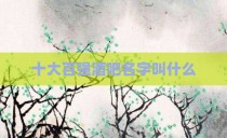 十大百强酒吧名字叫什么