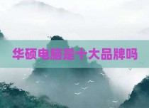 华硕电脑是十大品牌吗