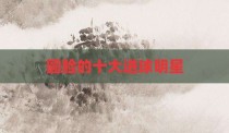 圆脸的十大进球明星