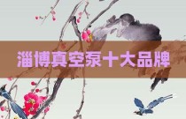 淄博真空泵十大品牌