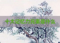 十大记忆力元素是什么