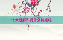 十大越野车有什么特点吗