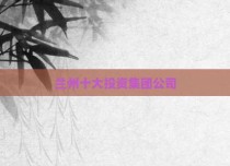 兰州十大投资集团公司
