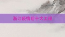 浙江疫情后十大工程