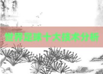 世界足球十大技术分析