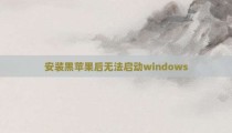 安装黑苹果后无法启动windows