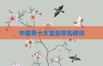 中国有十大富豪排名榜吗