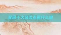 买房十大风险点是什么呢