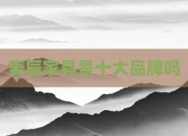 麦辰家具是十大品牌吗