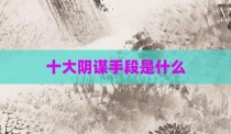 十大阴谋手段是什么