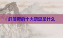 鲜薄荷的十大禁忌是什么