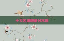十大名牌地暖分水器
