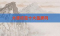 大漆坊是十大品牌吗