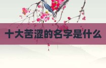 十大苦涩的名字是什么
