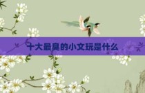 十大最臭的小文玩是什么
