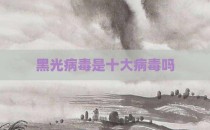 黑光病毒是十大病毒吗