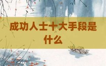 成功人士十大手段是什么