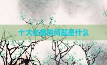 十大必备的问题是什么